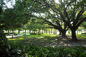 Flamingo park -Miami