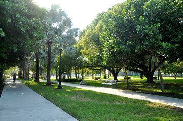 Flamingo park -Miami