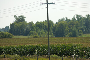 high voltage power lines over farmland