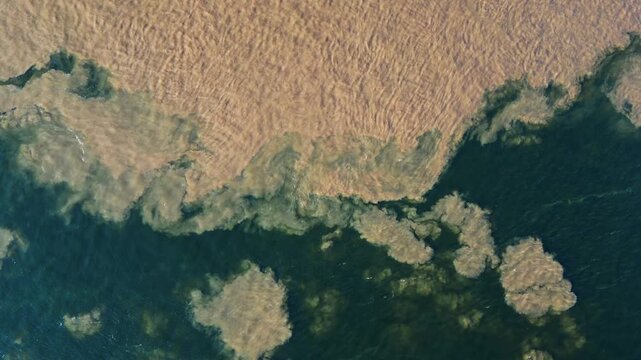 Perpendicular drone footage showing the stunning meeting of the waters between the light-colored Amazon river and the dark Tapajos river in front of Santarem, Para, Brazil