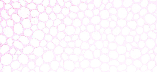 soft pink background with circles. copy space. space for text, advertising.