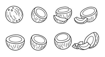 Set of hand-drawn coconut illustrations in various forms. Collection of whole, half, and sliced tropical fruit in a black and white line art doodle style.