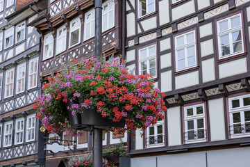 Fototapeta premium Colorful hanging flower basket with blooming red and purple geraniums in front of historic half-timbered houses in Hann Münden, Germany