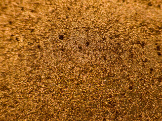 Close up macro of golden sand texture in warm lighting