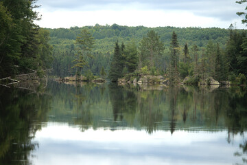 Rocky islands with trees in the river