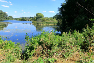 The lake at Leybourne in its natural beauty