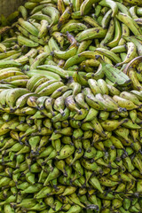 Vertical stack of fresh green plantains ready for market or export.