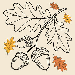 Illustration of autumn leaves and acorns on a tan background