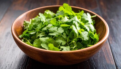 Cilantro (Coriander leaves)