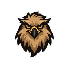 Fototapeta premium Fierce eagle head illustration