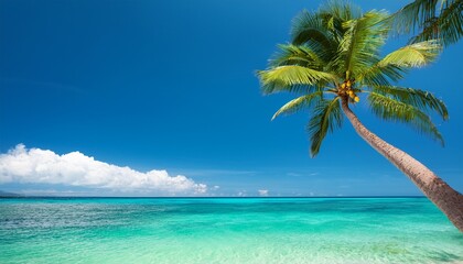 tropical coconut palm leaning over turquoise sea for exotic vacation summer travel paradise beach relaxation and getaway promotion banner