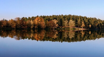 Lake, Nature Park, Trees  Reflected in the Lake