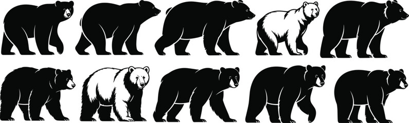 Bear illustration collection, wildlife animal sketches, black and white bear drawings, detailed fur texture, walking and standing poses, artistic vector wildlife design