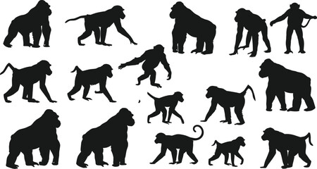 Monkey, gorilla, chimpanzee, baboon silhouette collection, wild animal vector illustration, walking jumping sitting pose, wildlife art, editable design © Best_Design