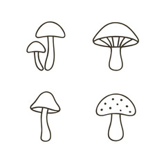 Wild mushrooms illustration in minimalist line art style  