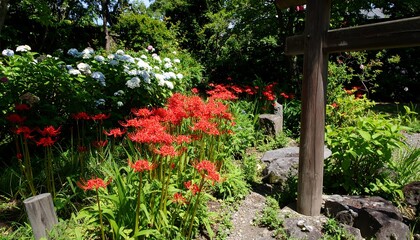 Obraz premium Vibrant garden with red flowers and greenery