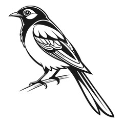 Elegant Black and White Bird Illustration:  Stylized Avian Vector Graphic, Perched on Branch.