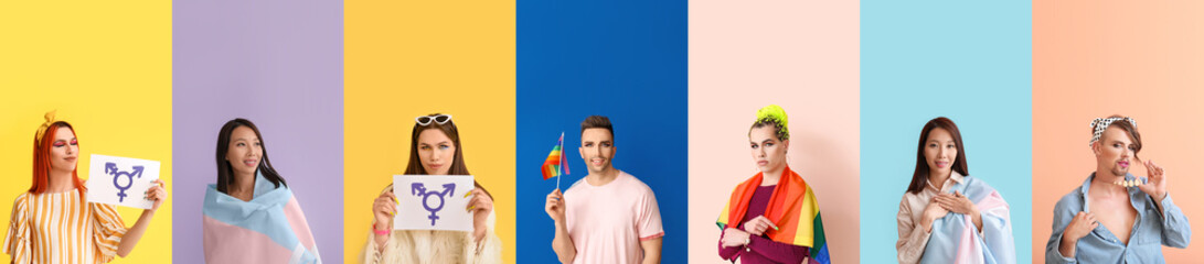 Set of many transgenders on color background