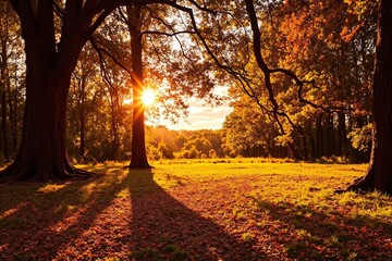 Fototapeta premium Golden Canopy Glow 