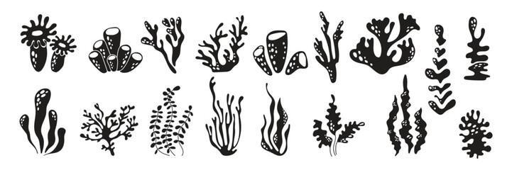 set of black silhouettes of seaweeds undersea in simple style. Underwater world. Monochrome stamp. Vector design of sea plants for stickers, textiles, cards, design.