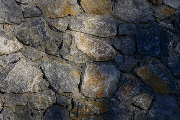 Wild Stone Wall Texture for Background Design