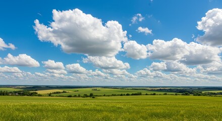Fototapeta premium Expansive green fields meet cumulus clouds under a sunny summer sky view