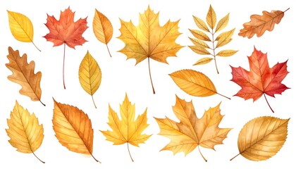 Autumn Leaves Collection Watercolor.
