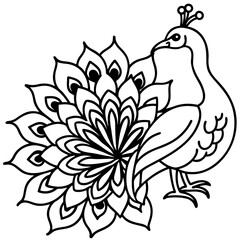 Elegant Peacock Flower Illustration