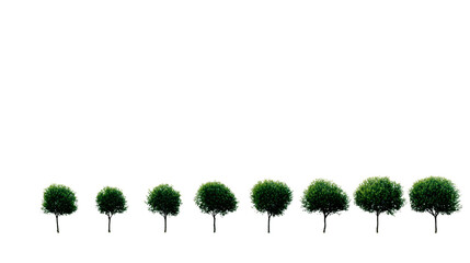Nine small green trees with transparent backgrounds, perfect for various designs.