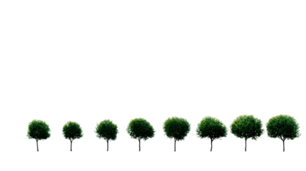 Nine small green trees with transparent backgrounds, perfect for various designs.
