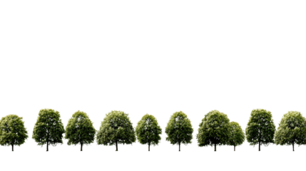 A row of lush, green trees perfect for adding a natural touch to your designs.