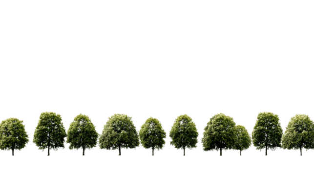 A row of lush, green trees perfect for adding a natural touch to your designs.