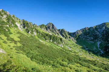 Fototapeta premium 夏の木曽駒ケ岳 
