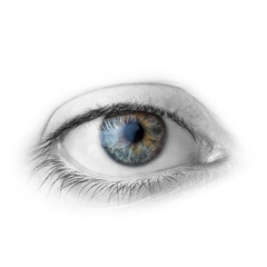 Young woman with gray-blue eyes, closeup