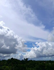 Cloudy sky over trees