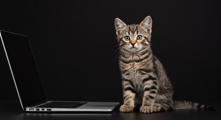 Adorable Cute Cat and Laptop A Modern Pet Companion Portrait