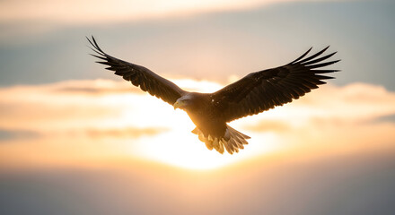 Fototapeta premium Majestic flight: Eagle soaring through the sky during a vibrant golden sunset