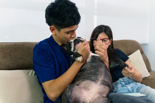 Latin american family playing with french bulldog at home
