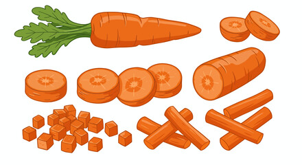 A vibrant vector illustration showcases a variety of fresh carrots, whole, sliced, and diced, perfect for culinary or educational purposes with a clean, appealing aesthetic.