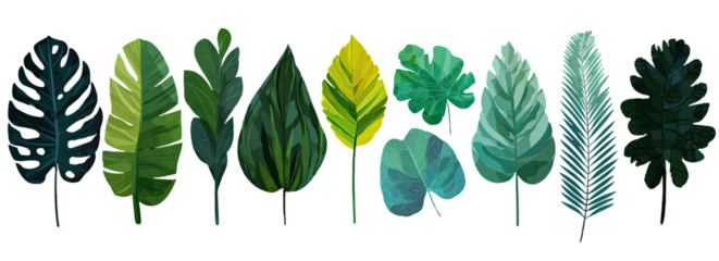 A row of stylized tropical leaves in various shades of green, teal, and yellow