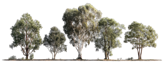 Row of silhouetted trees against a black background