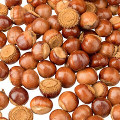 Fototapeta premium An abundant overhead view of fresh, raw hazelnuts scattered on a white surface, showcasing the natural texture of the filbert nuts and shells