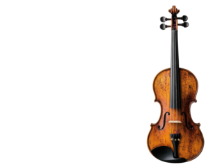 violin on white background