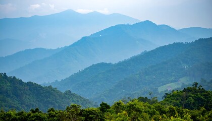 Naklejka premium Misty mountain range view