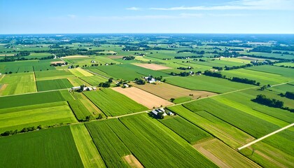 Aerial view farmland with green fields. (1)