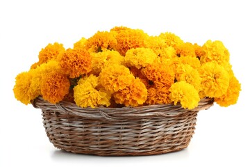 Basket filled with fresh orange marigold flowers isolated on white background, traditional floral decoration for Indian festivals, puja rituals, and celebrations