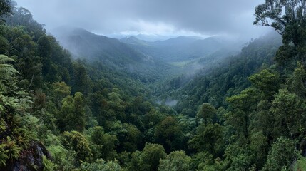 Fototapeta premium Misty valley viewpoint from high ground