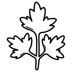 illustration of coriander leaf