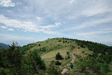 山