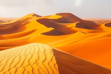 Sand dunes in the Namib desert.